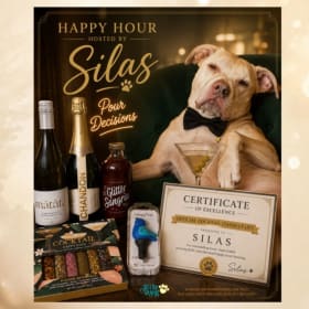 20) The Ultimate Puzzle, Wine & Cocktail Night Kit item