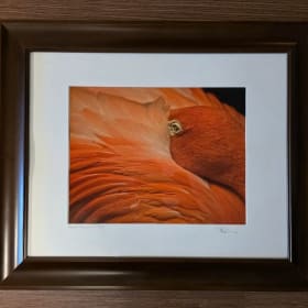 LOT 103 "Greater Flamingo" photograph by Val Mahan item