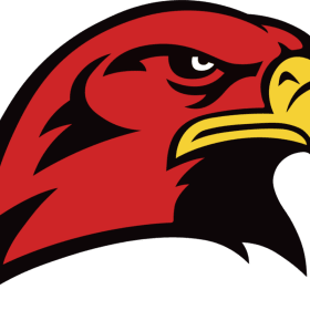 Hawks Game Shell item