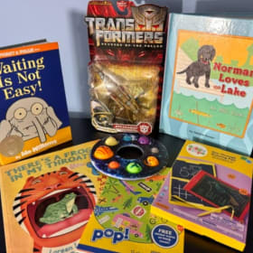 Books and Toys Set item