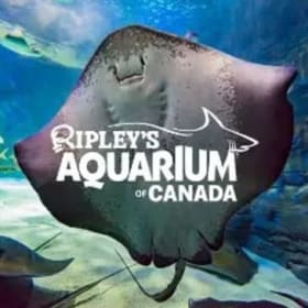 Ripley's Aquarium Flex Tickets item