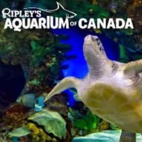 Ripley's Aquarium Flex Tickets item