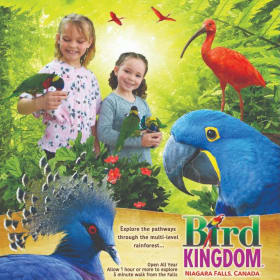 Bird Kingdom Family Passes item
