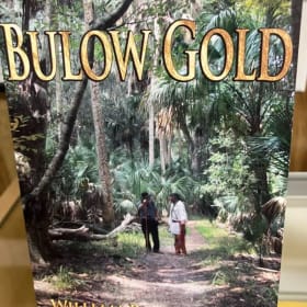 Bulow Gold item