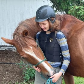 Beginner Horse Lessons at Lear Stables item