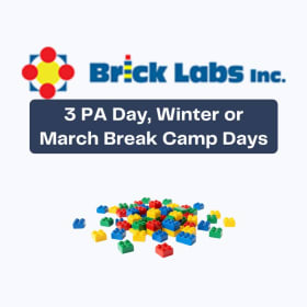 Brick Labs Camp Experience – Build, Create & Explore item