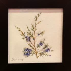 Juniper Berries item