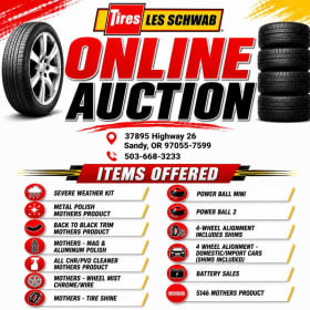Les Schwab Online Auction Package – Car Care & Alignment Bun item