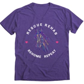 Rescue Rehab, Rehome, Repeat - Ladies V-Neck T-Shirt item