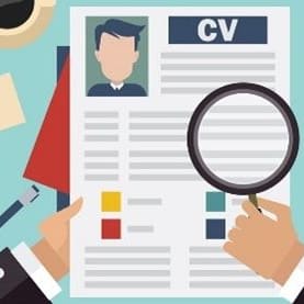 Executive CV Review with Sciteb item