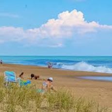 One week Shore Home in the Outer Banks item