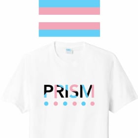 My Pride PRISM T-shirt [Trans] item