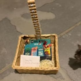 Lazy Dog basket item