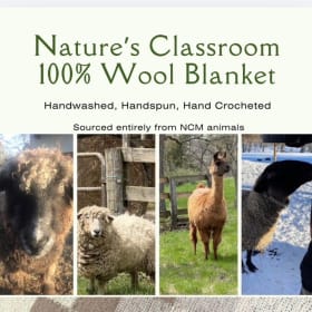 Wool Blanket item