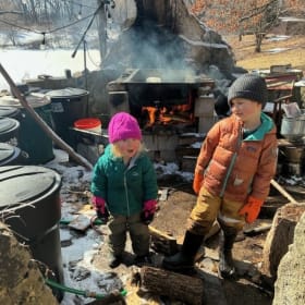 2-hour Maple Syrup tapping and boiling experience item