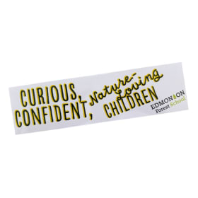 Bumper Sticker item