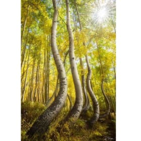 "Within Reach", 24'x36" Limited Edition Metal Print item