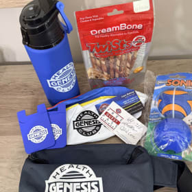 Genesis 2 item