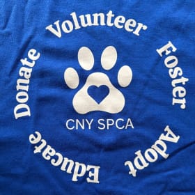Blue T-Shirt item