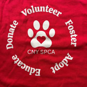 Red T-shirt item