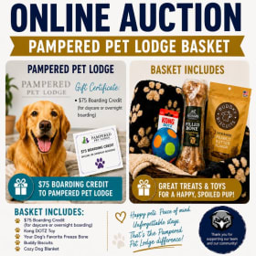 Pampered Pet Lodge Basket item