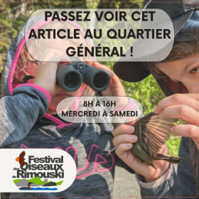 Autocollants de l'OOR item