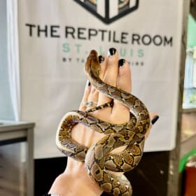Slithers & Scales Experience item