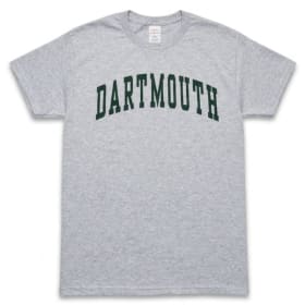 Adult Size S - Grey - Dartmouth T-shirt item