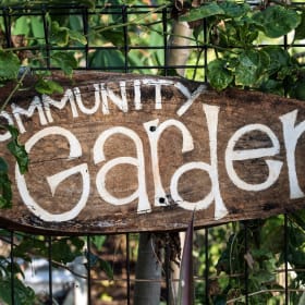 Sponsor Community Garden item