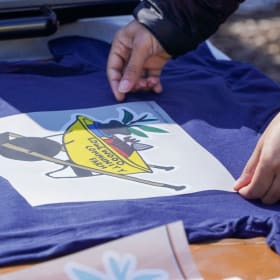 T-shirt item