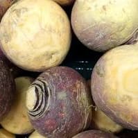 Rutabaga, paquet de 12 item