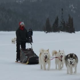 Privilège Hivernal : Votre Demi-Journée d’Aventure en Traîne item