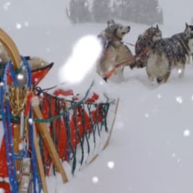 Privilège Hivernal : Votre Demi-Journée d’Aventure en Traîne item