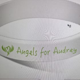 Wristband item