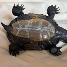 Eastern Musk Turtle (2) item