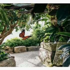 Photo of Niagara Parks - Pass bundle for two
