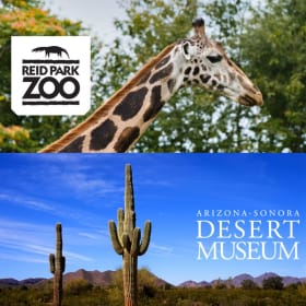 #11 Tucson Animal Adventures (AZ) (Value $108) item