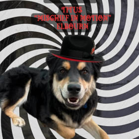 #18 Titus "Mischief in Motion" Elbourn item