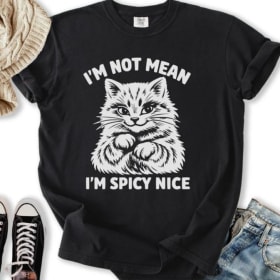 Photo of #20 - Spicy Nice T-Shirt (Large)