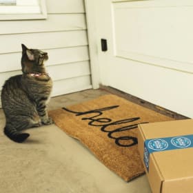 Standard Shipping (USPS) within US item