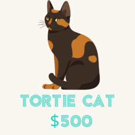 The Tortie Sponsorship item