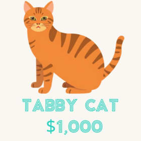 The Tabby Sponsorship item