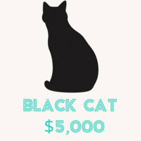 The Black Cat Sponsorship item