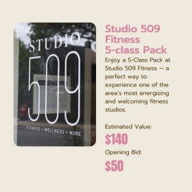 Studio 509 Fitness 5-class Pack item