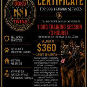 GSD Twins Dog Training Session item