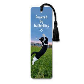 Fitzcapades Bookmark item