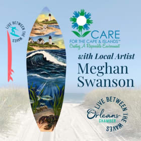 CARE for Cape & The Islands item
