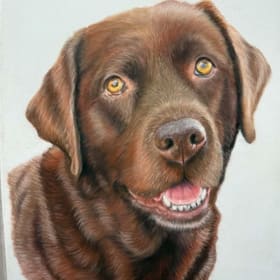 Pet Portraits - by Jenny Parker item