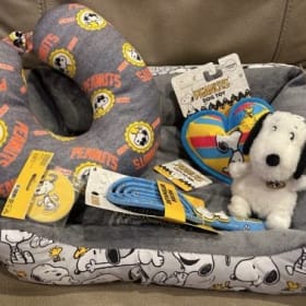 Snoopy Human and Dog Basket item