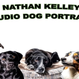 Nathan Kelley- Studio Dog Portraits item